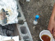 芋煮会2012