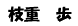 岡田先生