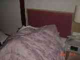 thumb_resize_dsc00186.jpg