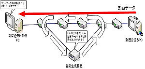aa